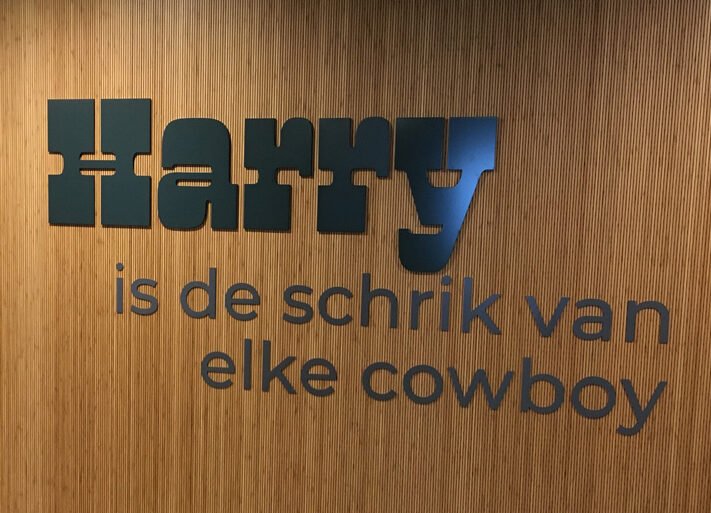 "Harry is de schrik van elke cowboy" in Gevelletters