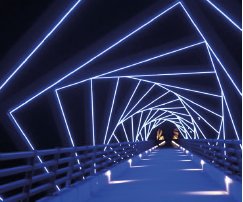 Bridge Neon purple lights